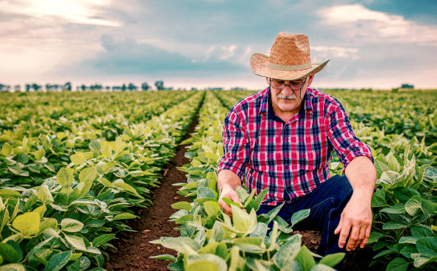 Farmer squatting