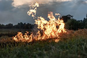 wildfire smoke